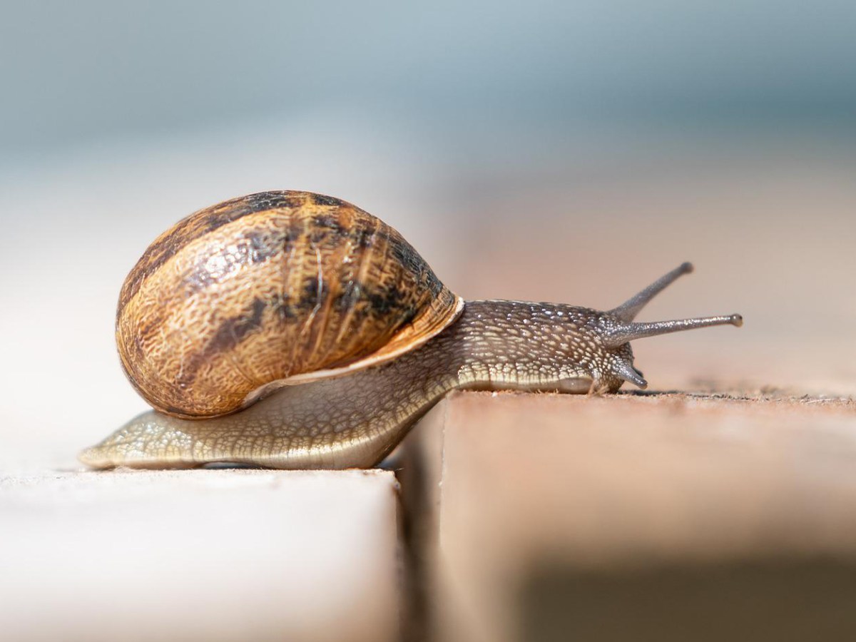 Freiheit und  Finanzen vor&nbsp;Frauen?